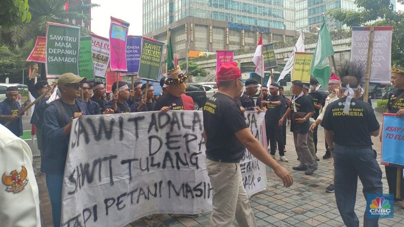 Puluhan Petani Sawit Demo Tolak UU Deforestasi Uni Eropa. (CNBC Indonesia/Martyasari Rizky )