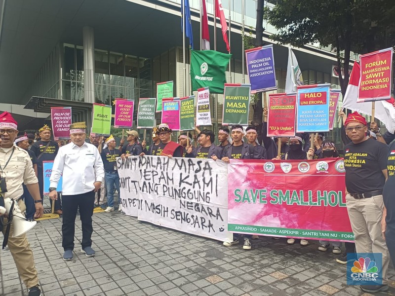 Puluhan Petani Sawit Demo Tolak UU Deforestasi Uni Eropa. (CNBC Indonesia/Martyasari Rizky )