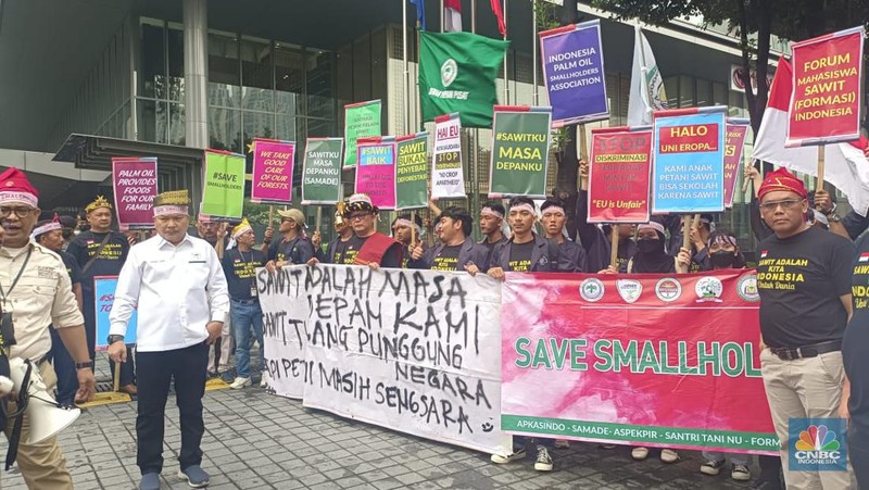 Puluhan Petani Sawit Demo Tolak UU Deforestasi Uni Eropa. (CNBC Indonesia/Martyasari Rizky )