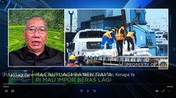 Ahli: Jaga Stok Pangan, RI Bisa Produksi Beras di Luar Negeri