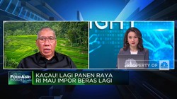 Lagi Panen Raya Tapi RI Mau Impor Beras 2 Juta Ton, Kenapa?