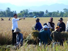 Terungkap! Alasan Jokowi Tak Bagi THR Full 100% Tahun Ini