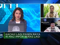 DPR: Impor Beras Saat Panen Raya, Pemerintah Tak Pro-Pertani!