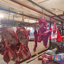 Ternyata Ini Penyebab Harga Sapi Australia Turun Sampai 50%