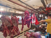 Ternyata Ini Penyebab Harga Sapi Australia Turun Sampai 50%
