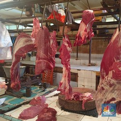 Harga Sapi Australia Turun, Kenapa di DKI Masih Rp170.000?