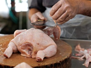 Muslim Wajib Tahu, Ini Ciri Ayam Potong yang Disembelih secara Tidak Halal