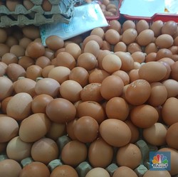 Lapor Pak Jokowi, Harga Telur Kini 'Meledak' Tembus Rp38.000
