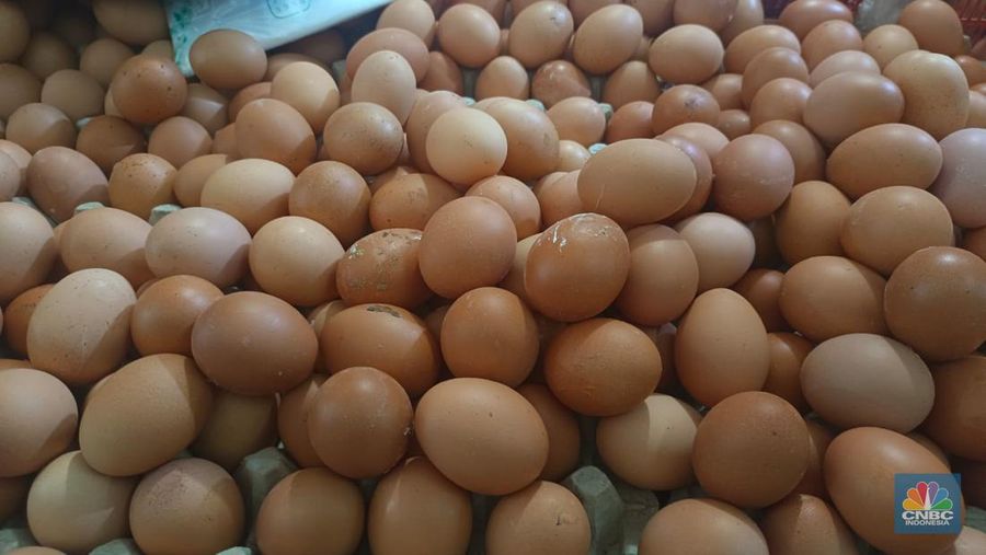 Memasuki hari ke delapan bulan puasa Ramadan, harga telur ayam ras terpantau masih melambung jauh dari harga acuan yang ditetapkan pemerintah. (CNBC Indonesia/Martyasari Rizky)