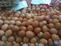 Lapor Pak Jokowi, Harga Telur Kini 'Meledak' Tembus Rp38.000