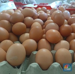 Selain Beras, Siap-Siap Harga Daging dan Telur Meroket Jelang Lebaran