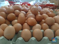 Selain Beras, Siap-Siap Harga Daging dan Telur Meroket Jelang Lebaran