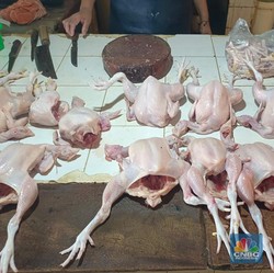 Harga Daging Ayam Tembus Rp 60.000/Kg, Pedagang Mogok Jualan