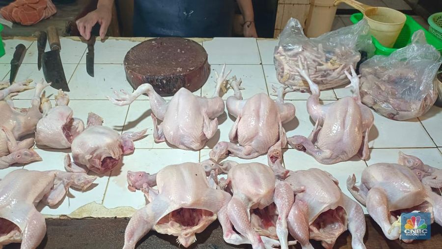 Memasuki hari ke delapan bulan puasa Ramadan, para pedagang serempak mematok harga ayam per ekornya untuk ukuran besar Rp 40.000/ekor, ukuran sedang Rp 35.000/ekor, dan ukuran kecil Rp 30.000/ekor. (CNBC Indonesia/Martyasari Rizky)