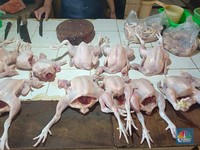 Harga Daging Ayam Tembus Rp 60.000/Kg, Pedagang Mogok Jualan