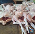 Harga Daging Ayam Turun Terus Sumbang Deflasi RI, Peternak Meringis