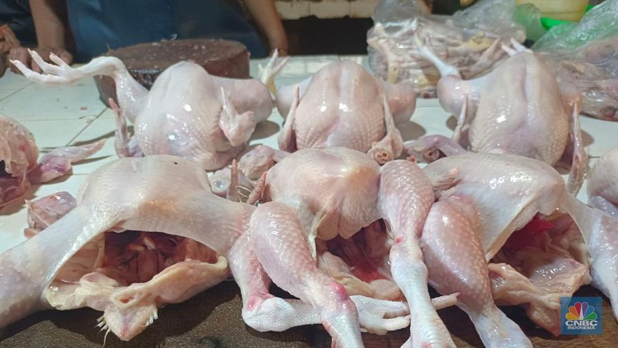 Memasuki hari ke delapan bulan puasa Ramadan, para pedagang serempak mematok harga ayam per ekornya untuk ukuran besar Rp 40.000/ekor, ukuran sedang Rp 35.000/ekor, dan ukuran kecil Rp 30.000/ekor. (CNBC Indonesia/Martyasari Rizky)