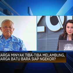 Harga Batu Bara Terbang 10%, Penambang Makin Cuan?