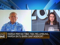 Harga Batu Bara Terbang 10%, Penambang Makin Cuan?
