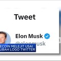 Video: Logo Twitter Diubah, Harga Dogecoin Melejit