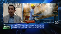 BPDPKS & Penguatan Peran Industri Sawit Bagi Ekonomi RI