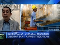 BPDPKS & Penguatan Peran Industri Sawit Bagi Ekonomi RI