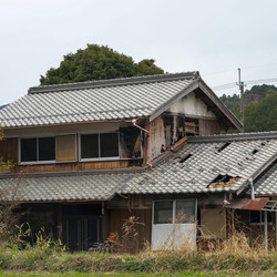 Jepang Buktinya, Resesi Seks Bawa Petaka Buat Bumi-Asia Lain Waspada?