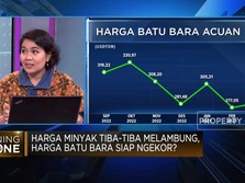 Sempat Meroket 10%, Harga Batu Bara Amblas Lagi, Ada Apa?