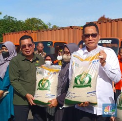 Mendesak Buat Bansos! Bulog Mau Impor Beras, Jumlahnya Segini
