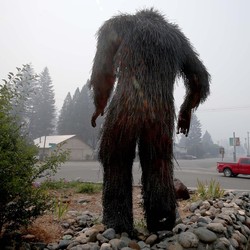 Fakta di Balik Video Bigfoot Akhirnya Terungkap!