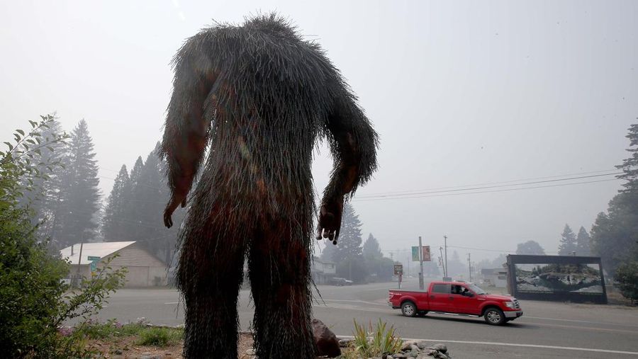 Ilustrasi Bigfoot. (Luis Sinco / Los Angeles Times via Getty Images)