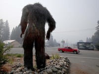 Fakta di Balik Video Bigfoot Akhirnya Terungkap!