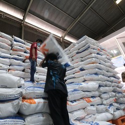 Bulog Ungkap Produksi Beras Turun, Siap-siap Lakukan Ini
