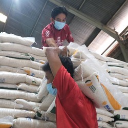 Ini Gawat! Dunia Terancam Krisis Beras, Permintaan Naik 30%
