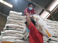 Ini Gawat! Dunia Terancam Krisis Beras, Permintaan Naik 30%