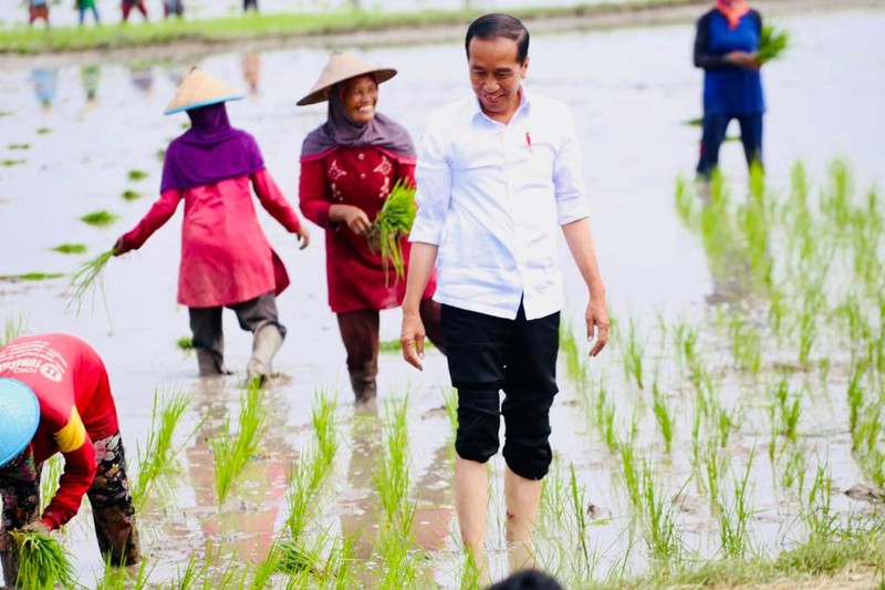 Presiden Jokowi didampingi Menteri Pertanian Syahrul Yasin Limpo (Mentan SYL) melakukan tanam padi di Desa Senori, Kecamatan Merakurak, Kabupaten Tuban, Jawa Timur. (Dok: Biro Pers) Presiden Jokowi didampingi Menteri Pertanian Syahrul Yasin Limpo (Mentan SYL) melakukan tanam padi di Desa Senori, Kecamatan Merakurak, Kabupaten Tuban, Jawa Timur. (Dok: Biro Pers)