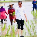 Selamat Hari Pangan, Maaf RI Masih Dijajah Dunia!