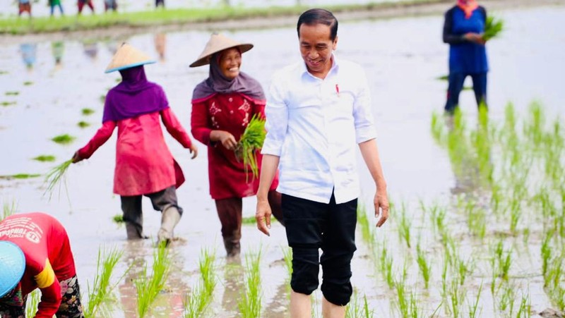 Presiden Jokowi didampingi Menteri Pertanian Syahrul Yasin Limpo (Mentan SYL) melakukan tanam padi di Desa Senori, Kecamatan Merakurak, Kabupaten Tuban, Jawa Timur. (Dok: Biro Pers)