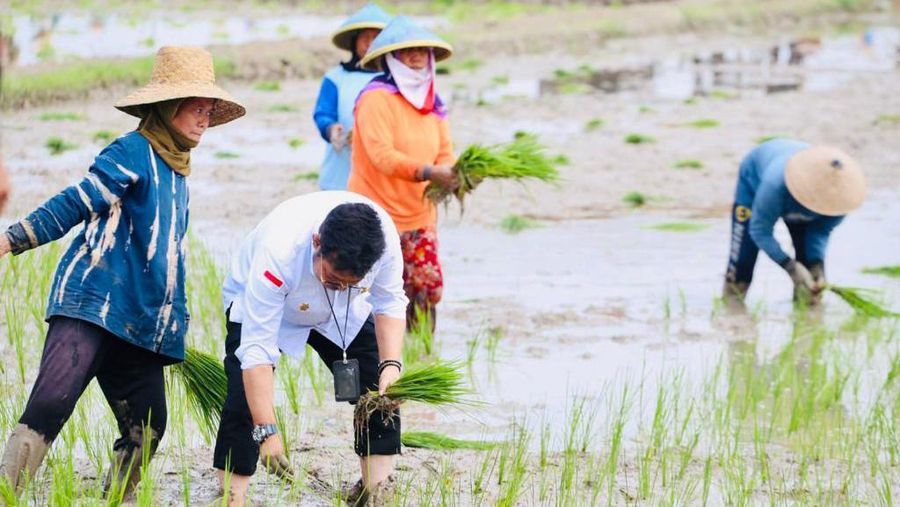 Presiden Jokowi didampingi Menteri Pertanian Syahrul Yasin Limpo (Mentan SYL) melakukan tanam padi di Desa Senori, Kecamatan Merakurak, Kabupaten Tuban, Jawa Timur. (Dok: Biro Pers)