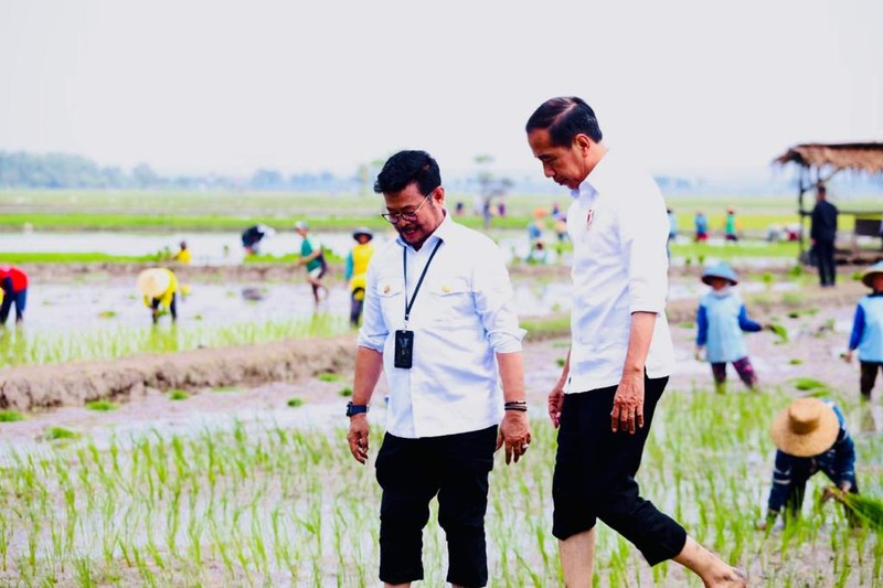 Presiden Jokowi didampingi Menteri Pertanian Syahrul Yasin Limpo (Mentan SYL) melakukan tanam padi di Desa Senori, Kecamatan Merakurak, Kabupaten Tuban, Jawa Timur. (Dok: Biro Pers) Presiden Jokowi didampingi Menteri Pertanian Syahrul Yasin Limpo (Mentan SYL) melakukan tanam padi di Desa Senori, Kecamatan Merakurak, Kabupaten Tuban, Jawa Timur. (Dok: Biro Pers)