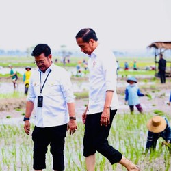Istana Bantah SYL Soal Instruksi Khusus Jokowi Tarik Uang Kementerian