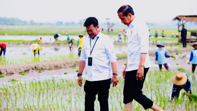 Presiden Jokowi didampingi Menteri Pertanian Syahrul Yasin Limpo (Mentan SYL) melakukan tanam padi di Desa Senori, Kecamatan Merakurak, Kabupaten Tuban, Jawa Timur. (Dok: Biro Pers)