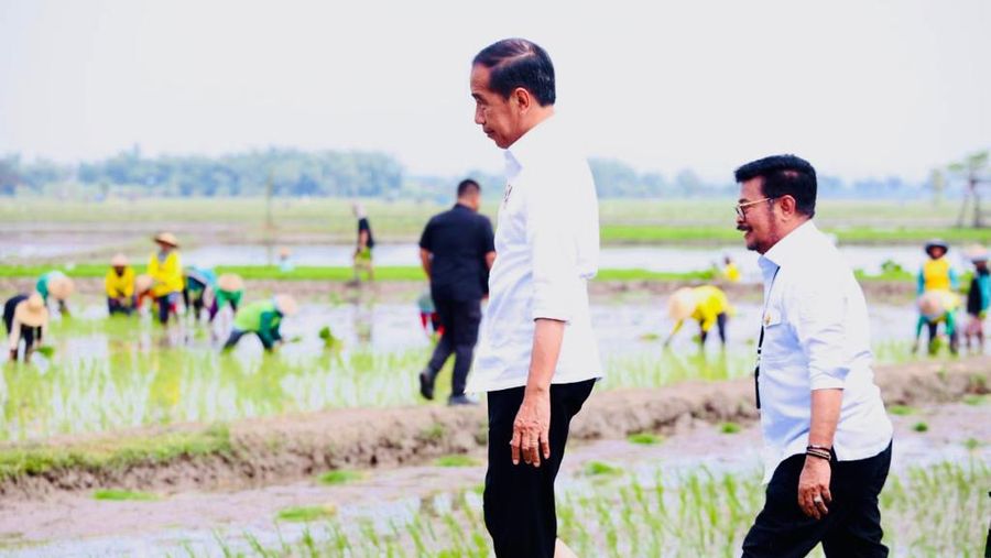 Presiden Jokowi didampingi Menteri Pertanian Syahrul Yasin Limpo (Mentan SYL) melakukan tanam padi di Desa Senori, Kecamatan Merakurak, Kabupaten Tuban, Jawa Timur. (Dok: Biro Pers)
