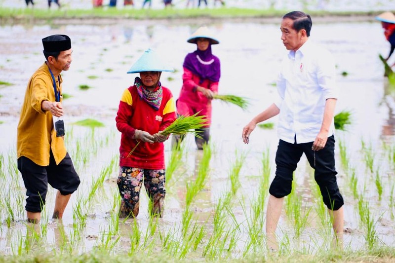 Presiden Jokowi didampingi Menteri Pertanian Syahrul Yasin Limpo (Mentan SYL) melakukan tanam padi di Desa Senori, Kecamatan Merakurak, Kabupaten Tuban, Jawa Timur. (Dok: Biro Pers)