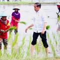 Fakta Menyedihkan, Pertanian RI Kalah Saing dari Manufaktur