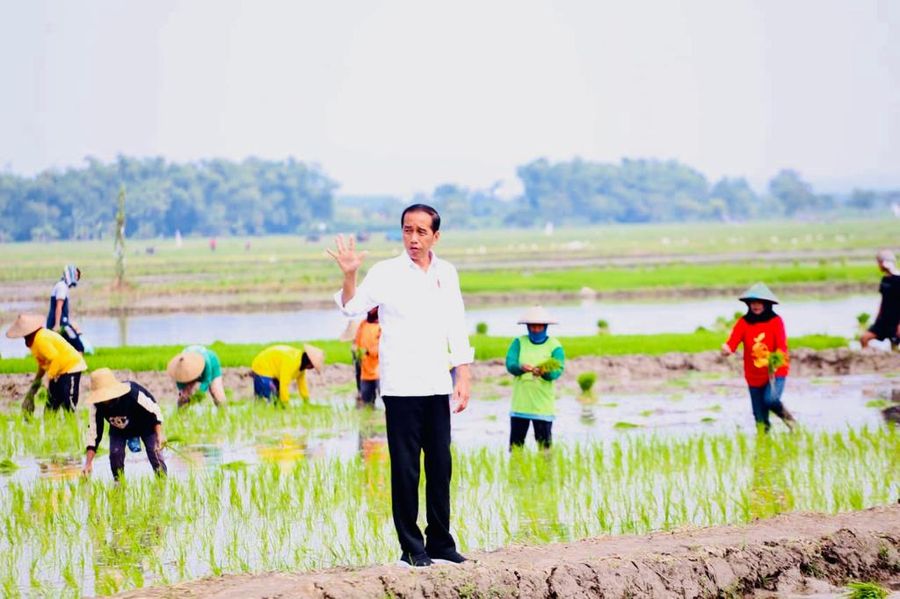 Presiden Jokowi didampingi Menteri Pertanian Syahrul Yasin Limpo (Mentan SYL) melakukan tanam padi di Desa Senori, Kecamatan Merakurak, Kabupaten Tuban, Jawa Timur. (Dok: Biro Pers)