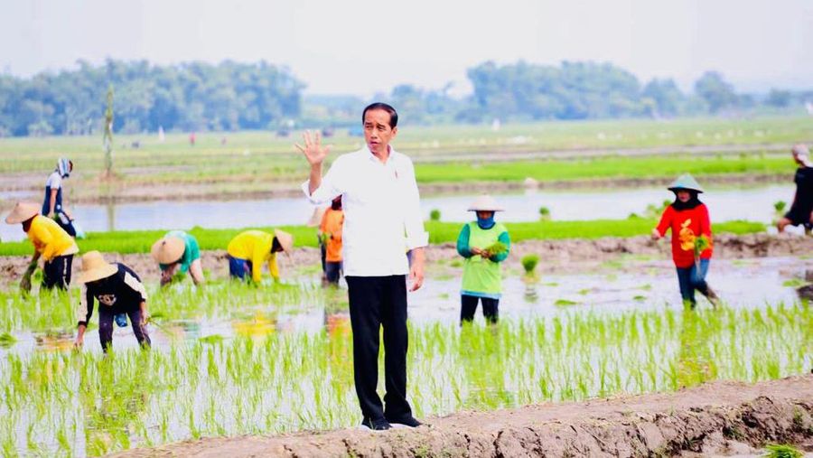 Presiden Jokowi didampingi Menteri Pertanian Syahrul Yasin Limpo (Mentan SYL) melakukan tanam padi di Desa Senori, Kecamatan Merakurak, Kabupaten Tuban, Jawa Timur. (Dok: Biro Pers)