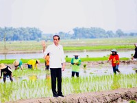 EL Nino Menyerang, Ketahanan Pangan Jadi Prioritas ASEAN