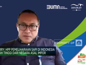 Video: RI Masih Impor, Kapan Bisa Berdaulat Daging Sapi?
