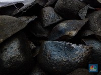 RI Bakal Dicari-cari Dunia Karena Simpan 'Harta Karun' Ini